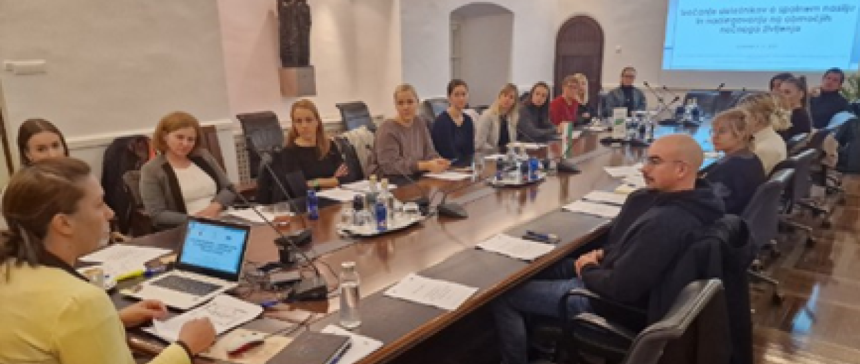 srečanje deležnikov projekta SHINE