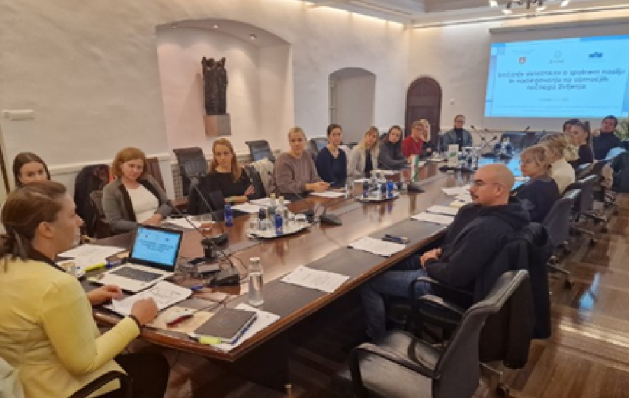 srečanje deležnikov projekta SHINE