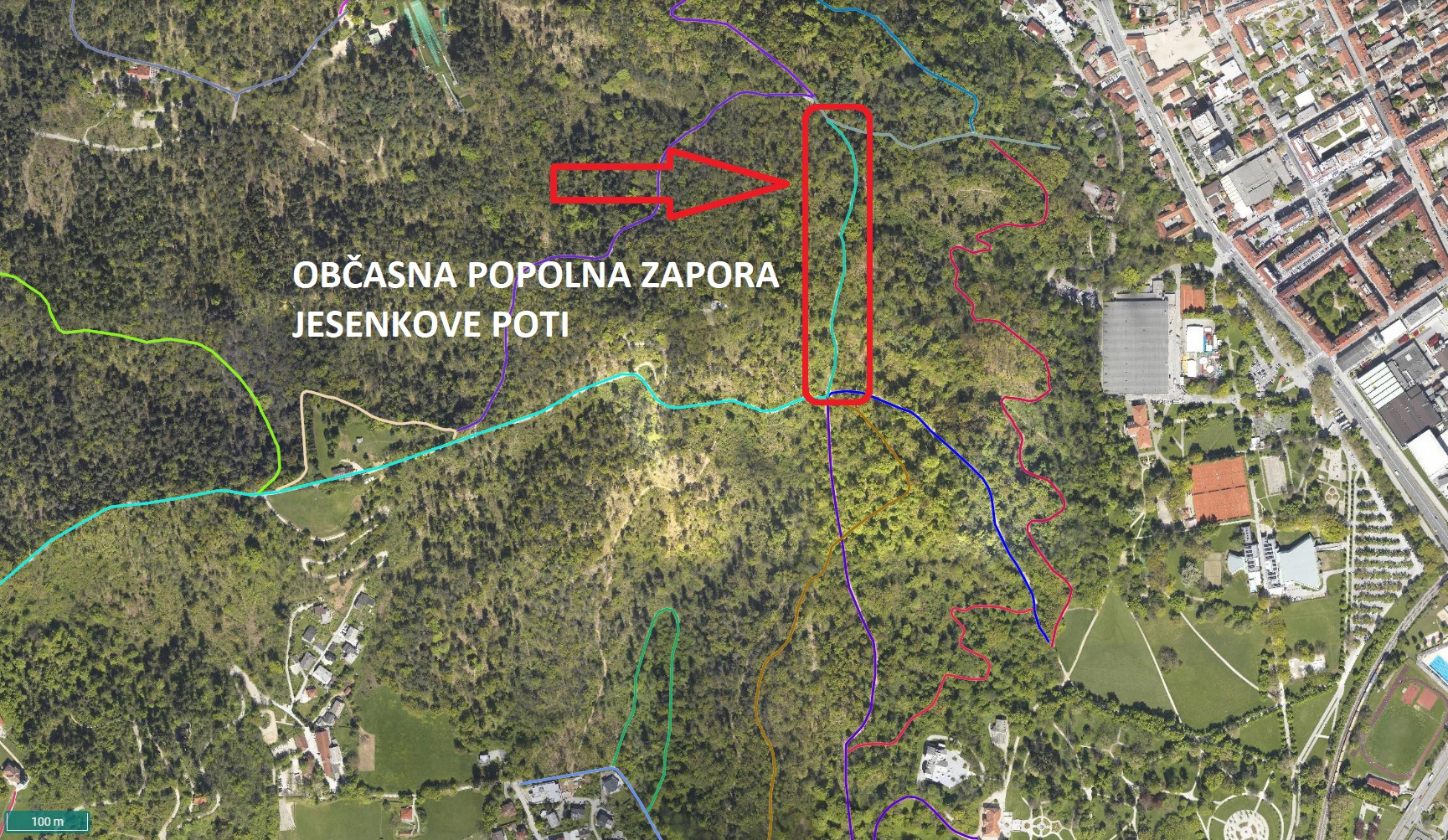 skica secnja