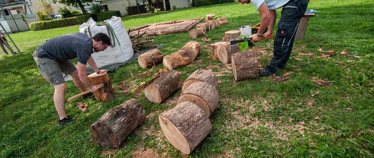travnik KosezeZunaj2021 fotoCLuka Vidic 006a