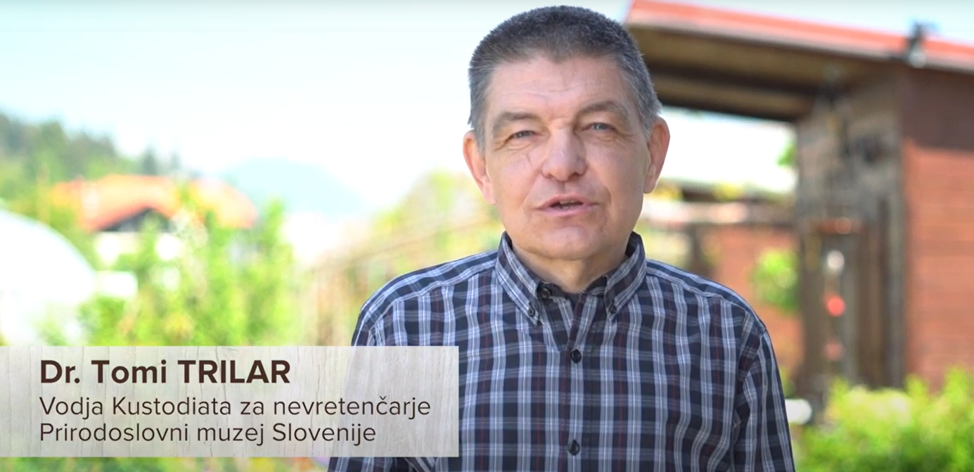 trilar