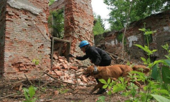 vodnik usmerja psa v ruševino