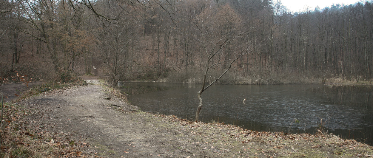 zadrževalnik Rakovnik