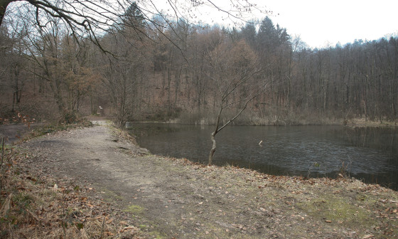 zadrževalnik Rakovnik