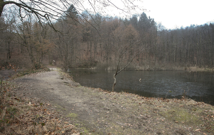 zadrževalnik Rakovnik
