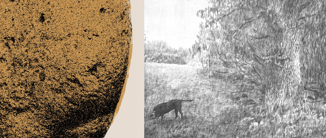 zemlja fb cover suggestion