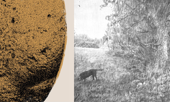 zemlja fb cover suggestion