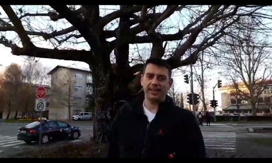 Drevo-leta-2021-je-kavkaki-krilati-orekar-MBSJQDRJumc.jpg