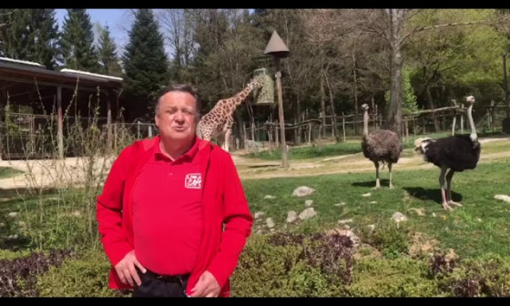 Priakujem-da-bomo-lahko-ZOO-kmalu-odprli-QsOvy9kMzrk.jpg