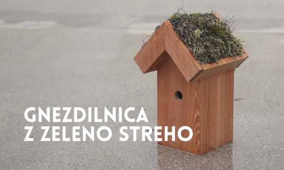 Projekt-APPLAUSE-Gnezdilnica-z-zeleno-streho-hkvs113PZI0.jpg