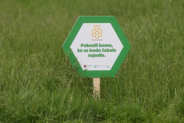 Akcija »Pokosili bomo, ko se bodo čebele najedle«