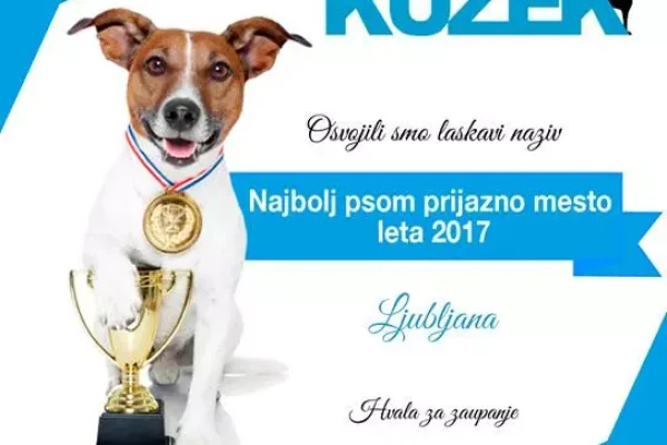 Plakat: Ljubljana, psom najbolj prijazno mesto 2017