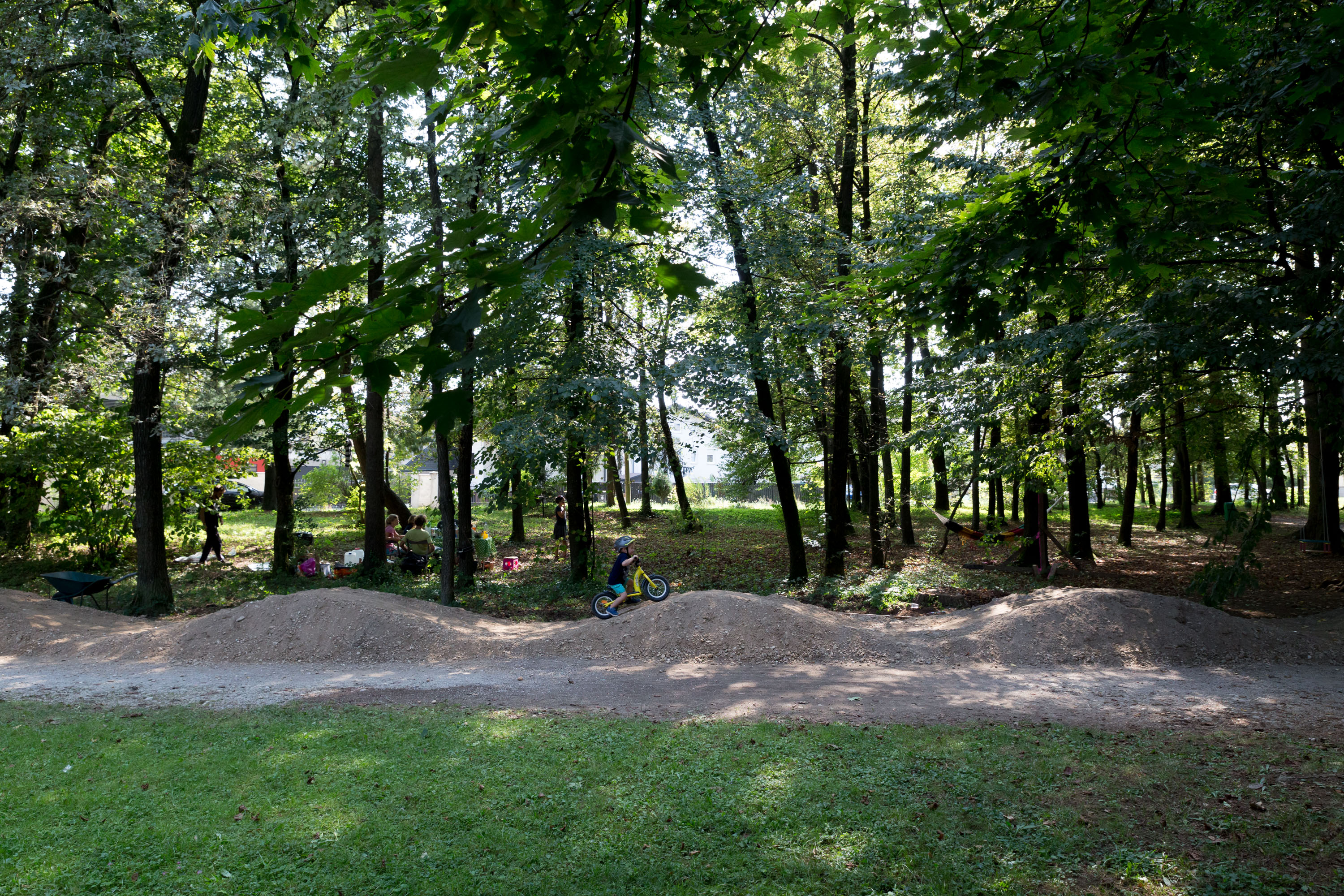 gozdni pumptrack
