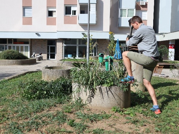 fantič posvojil korito in ozelenil sosesko
