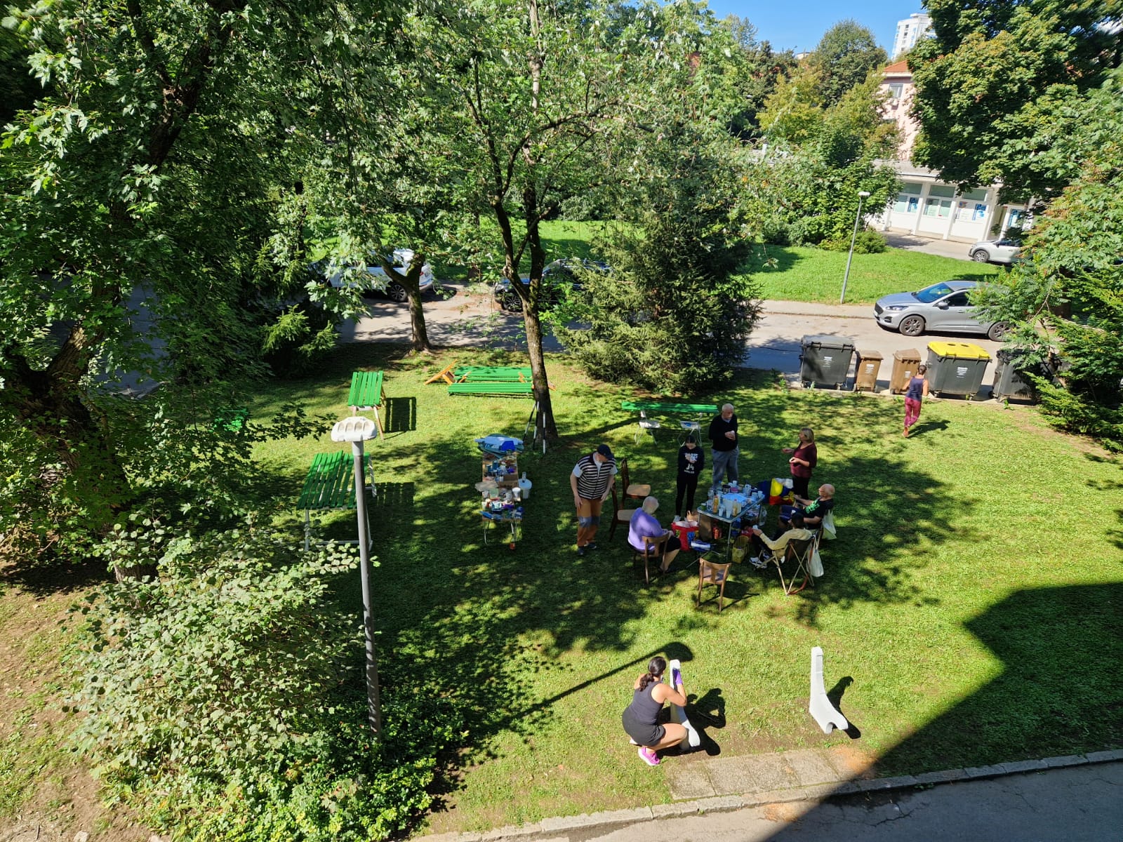 skupnostna ureditev zelenice Savsko naselje