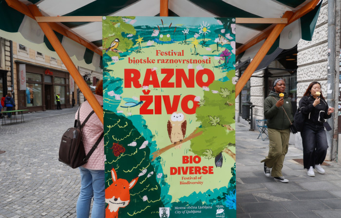 20240522 festival Raznozivo nrovan 028