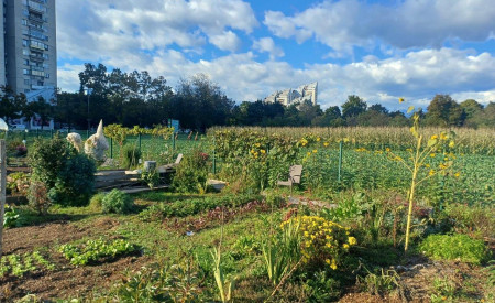 vrtiček, na katerem raste zelenje