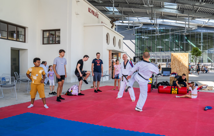 taekwando