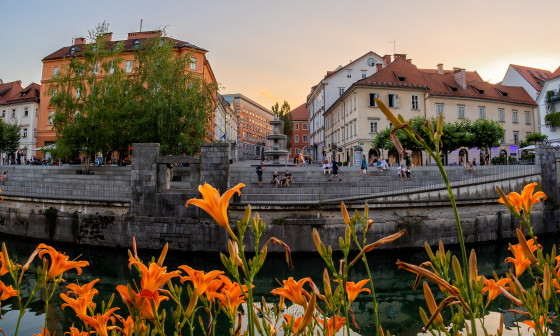 Zelena in cvetoča Ljubljana Jun 2022 Matjaž Tavčar (13)