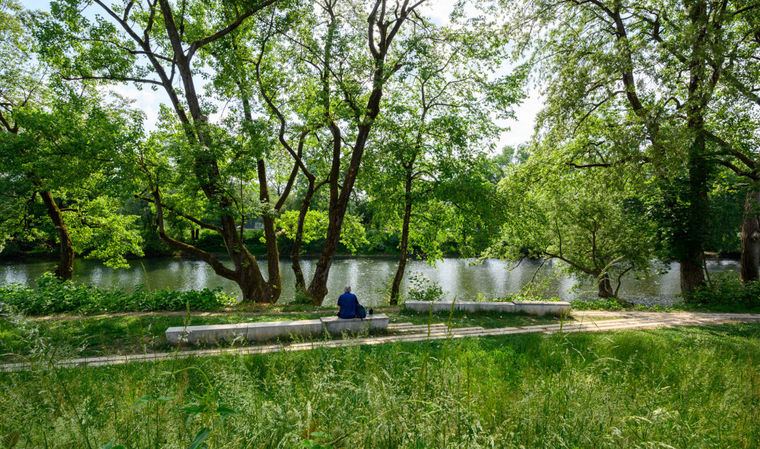 muste park KAM9692