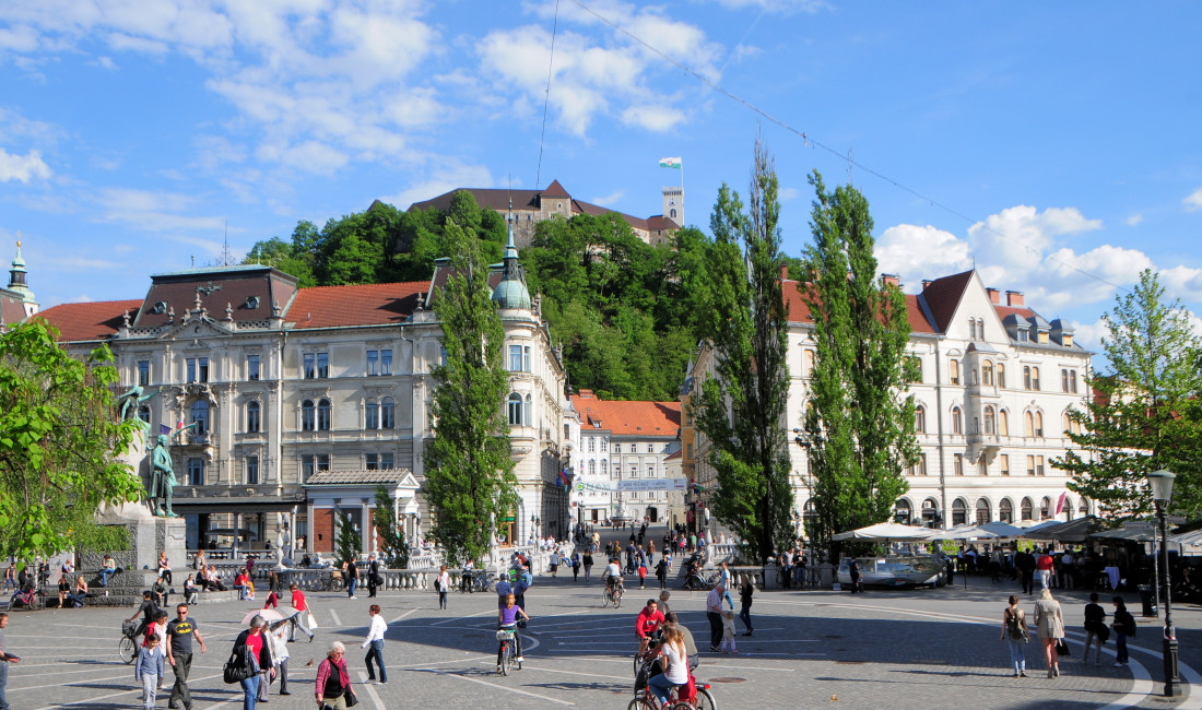 Prešernova, D.Wedam