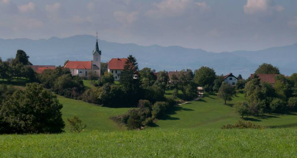 Lipoglav
