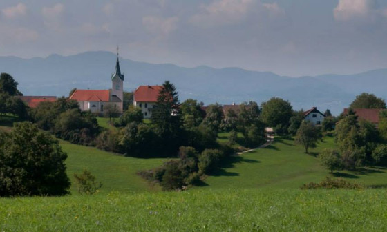 Lipoglav