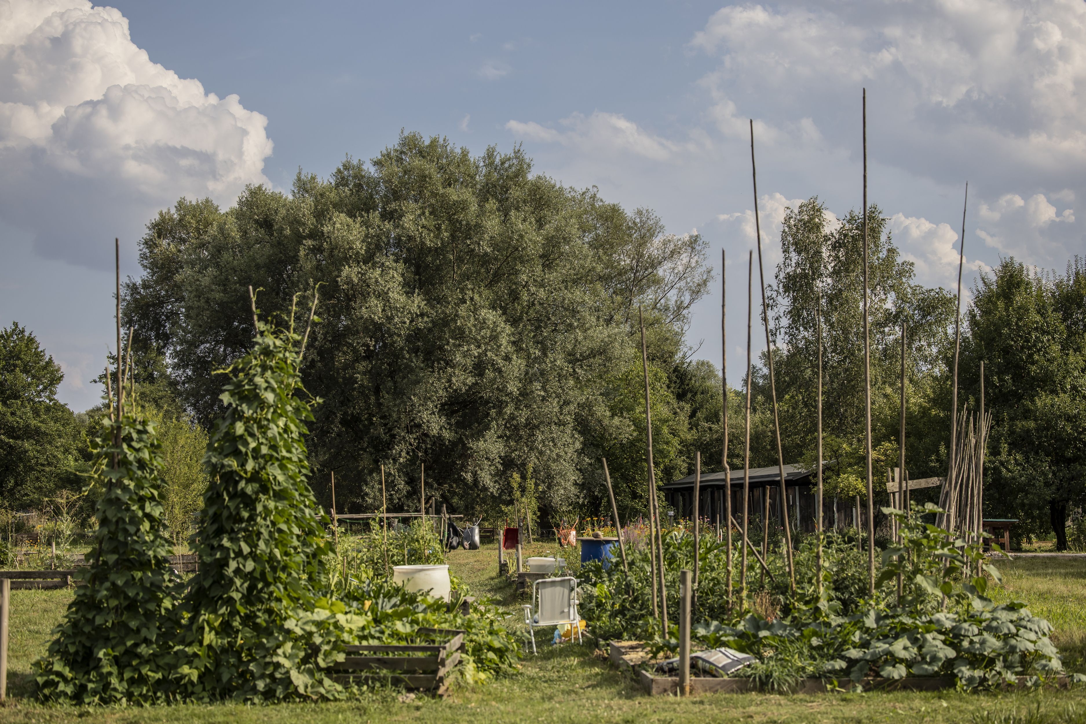 mol vrticki urska boljkovac (15)