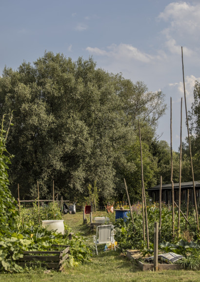 mol vrticki urska boljkovac (15)