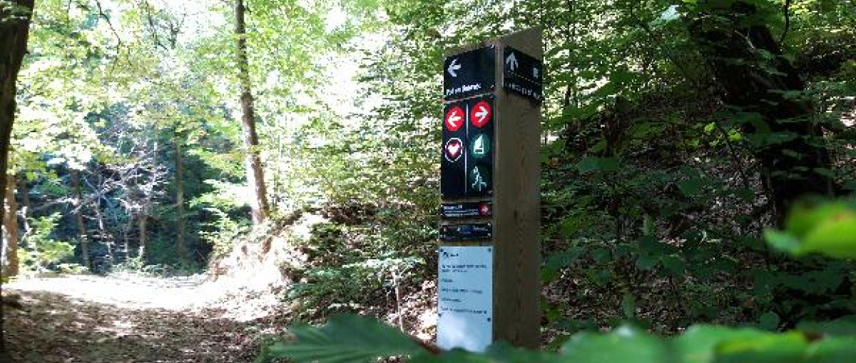 Golovec Foto Vita Kontić Bezjak