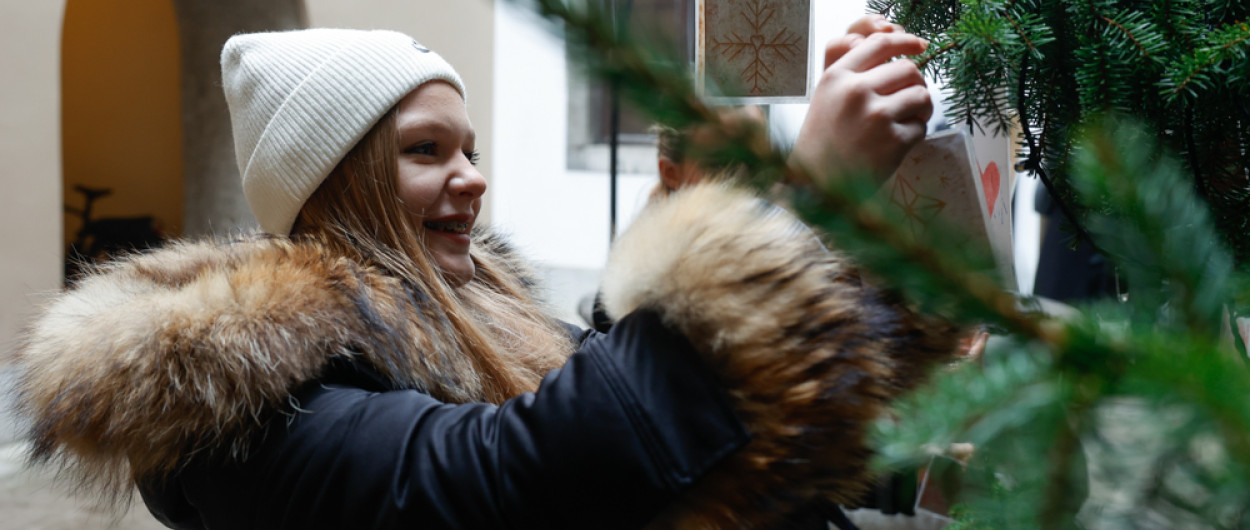  krasenje novoletne smreke v mestni hiši