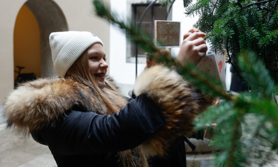  krasenje novoletne smreke v mestni hiši