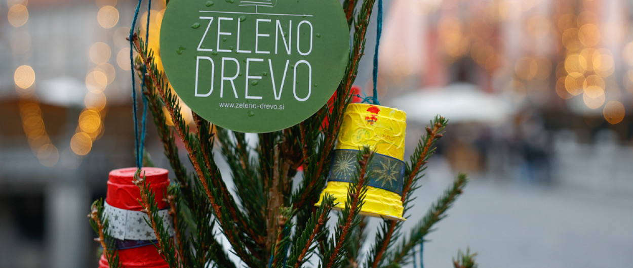 zelena drevesa nrovan 