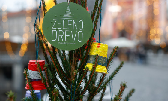 zelena drevesa nrovan 