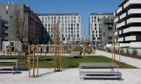 stanovanjska soseska Zvezna ulica 