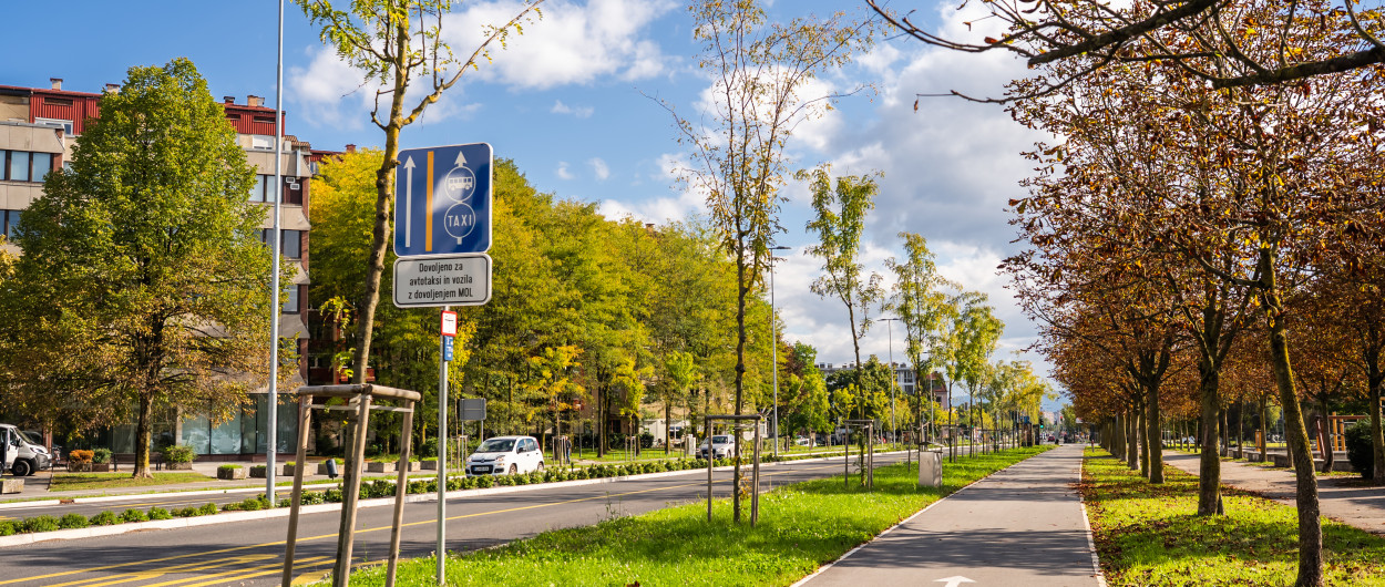 20261006 Drevored Linhatorva in kolesarska Nino Kolarev (1)