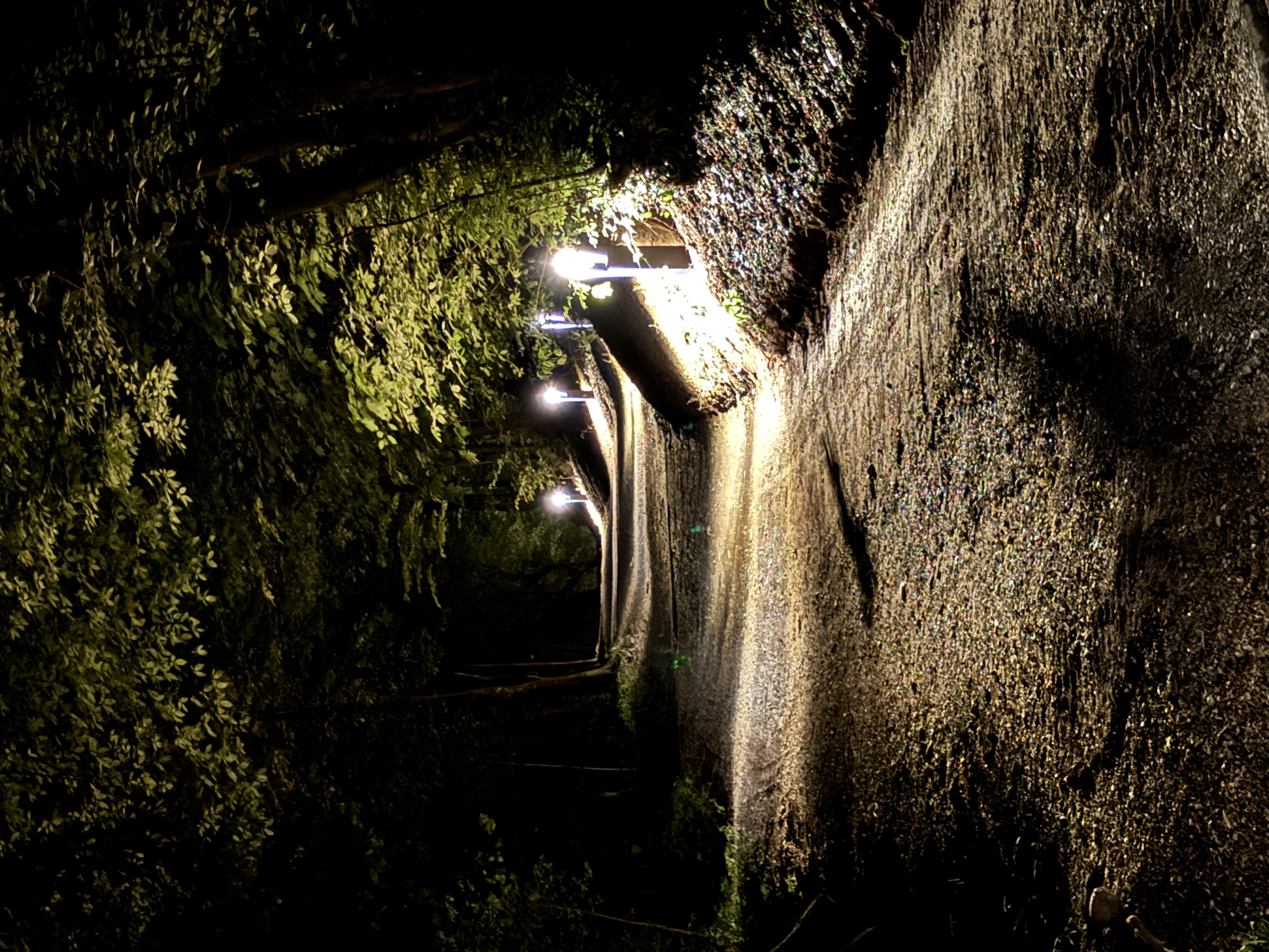 Osvetljena Lončarska steza na Ljubljanski grad