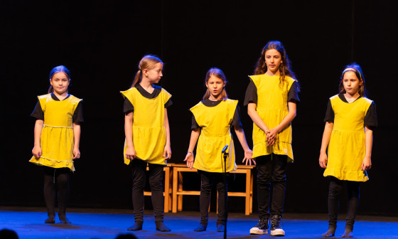 Otroški festival gledaliških sanj, foto: arhiv Pionirski dom