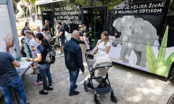 Prometni  ZOO