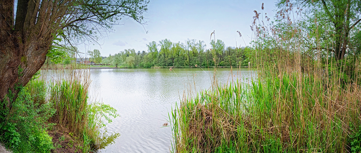 Koseški bajer, artinfoto 