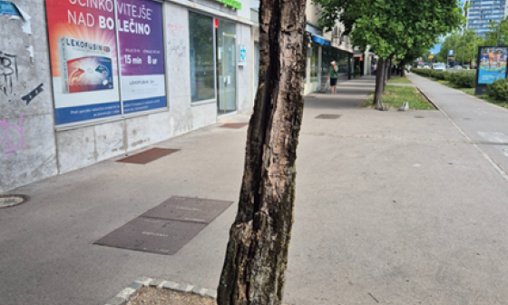 dunajska 1