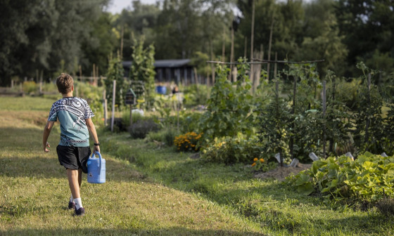 mol vrticki urska boljkovac (50)