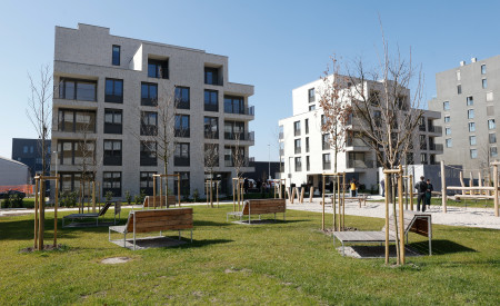 soseska Zvezna ulica, v ospredju zelenica in klopce 