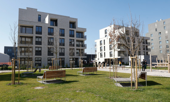 soseska Zvezna ulica