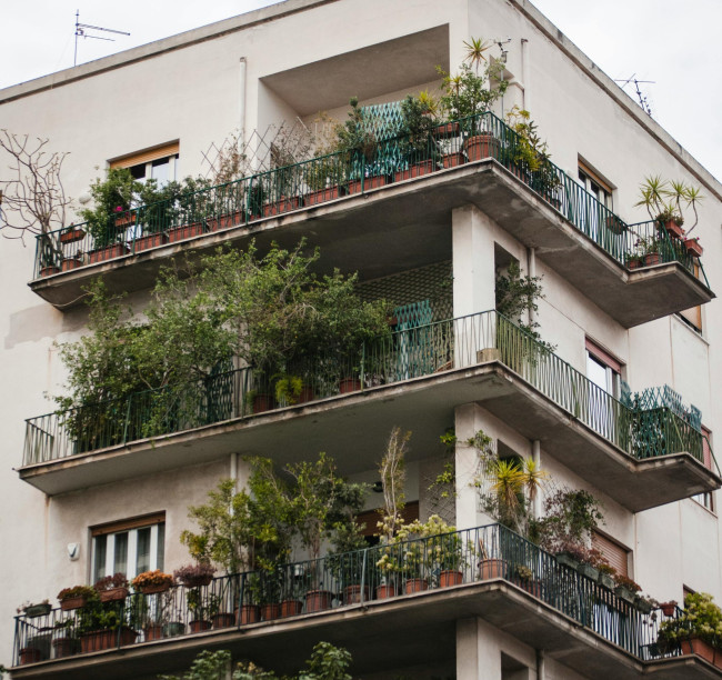 ozelenjeni balkoni, pexels 