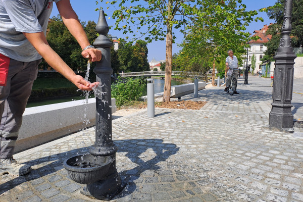 Pitnik na Petkovškovem nabrežju