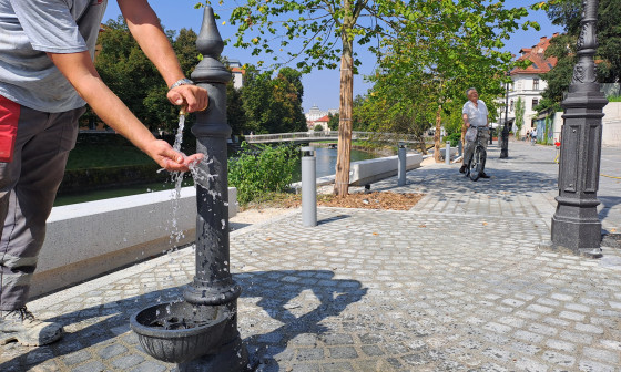 Pitnik na Petkovškovem nabrežju