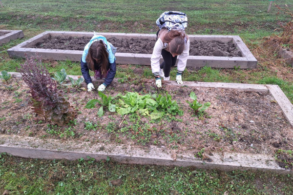 deklici delata na vrtičku