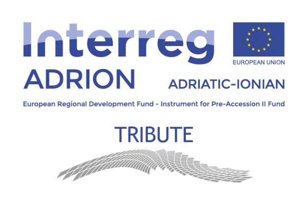 Logo Projekt TRIBUTE