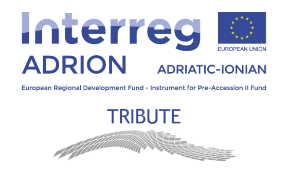 Logo Projekt TRIBUTE